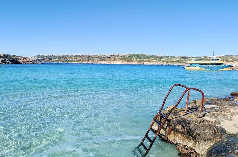 Malta - rekiny